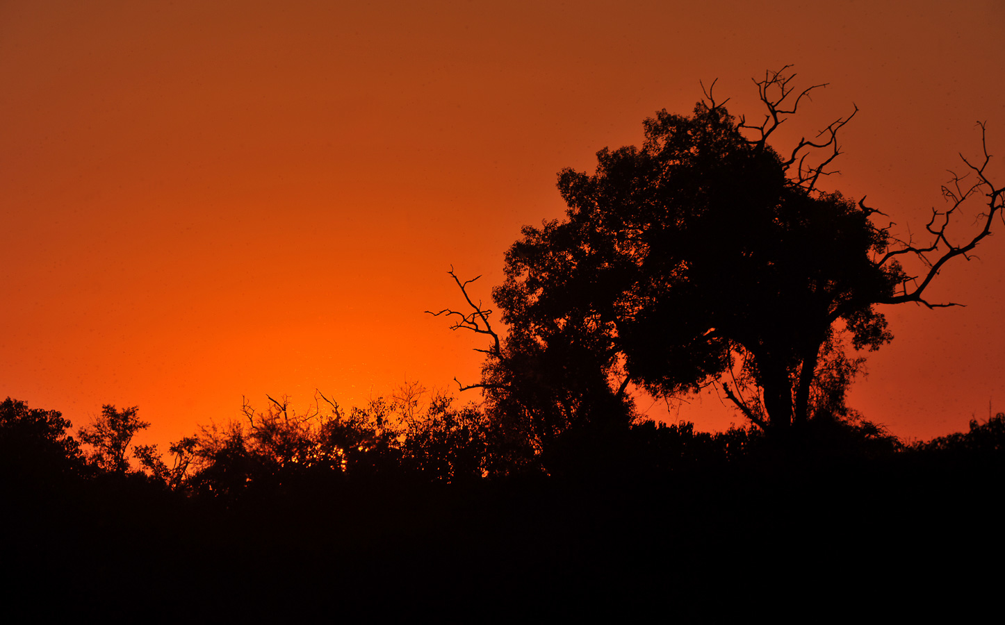 Chobe National Park [550 mm, 1/1250 sec at f / 8.0, ISO 250]